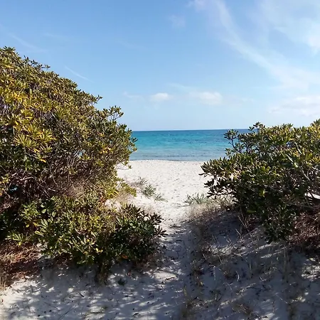 In Shared Séjour chez l'habitant *