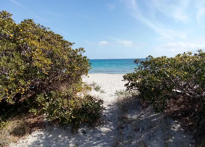 In Shared ホームステイ *